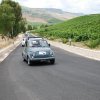 Partanna 2010 (516)